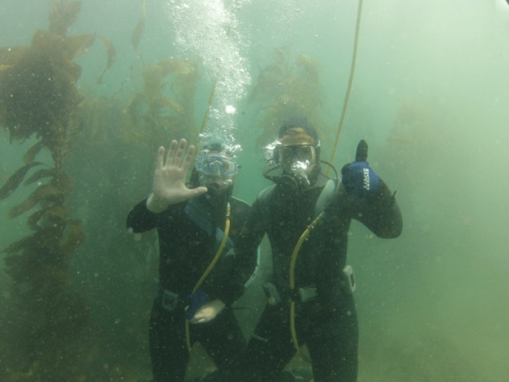 Ensenada: Guided Two-Tank Dive at Arbolitos Dive Park - Experience Highlights