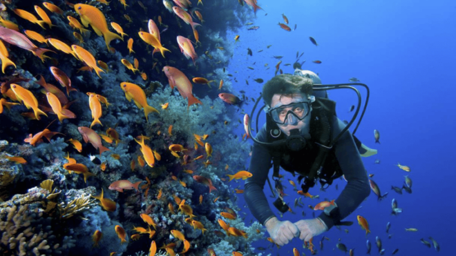 Ensenada: Guided Two-Tank Dive at Arbolitos Dive Park - Getting to Arbolitos Dive Park