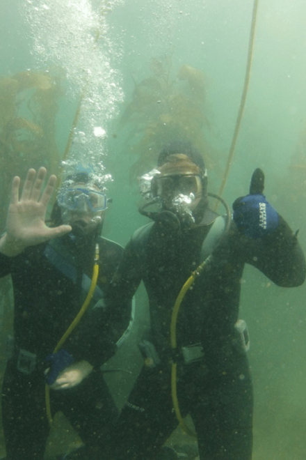 Ensenada: Guided Two-Tank Dive at Arbolitos Dive Park - Inclusions