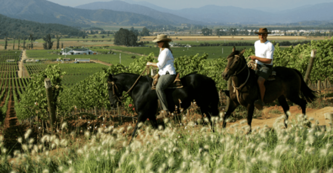 Ensenada: Horseback Riding at the Vineyards - Booking Information