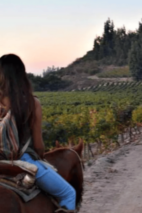 Ensenada: Horseback Riding at the Vineyards - Good To Know