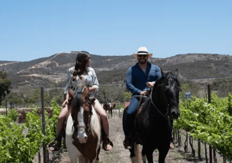 Ensenada: Horseback Riding at the Vineyards - Experience Highlights