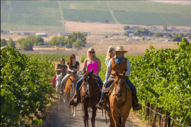 Ensenada: Horseback Riding at the Vineyards - Preparing for the Ride