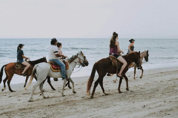 Ensenada: Horseback Riding on the Beach - Good To Know