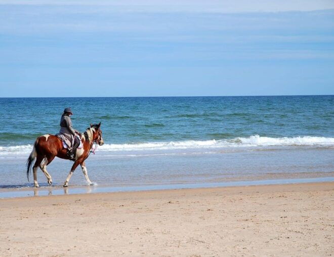 Ensenada: Horseback Riding on the Beach - Preparing for the Adventure