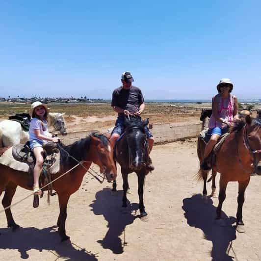 Ensenada: Horseback Riding Tour at Playa Hermosa - Good To Know