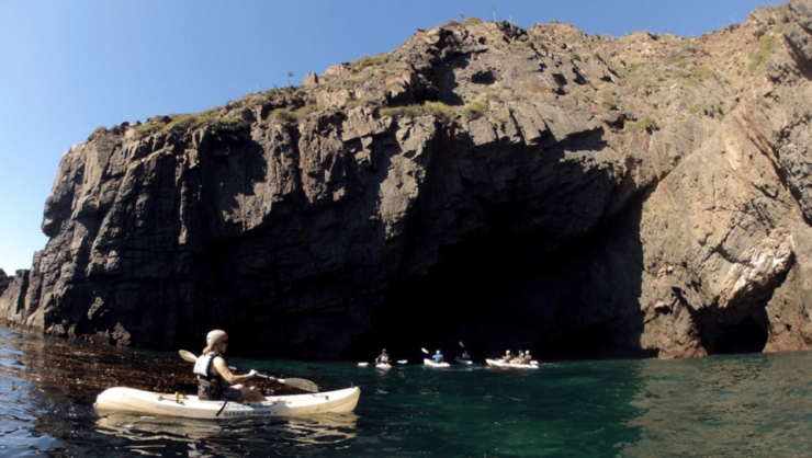 Ensenada: Kayak Tour With Fish Tacos and Hotel Pickup - Activity Highlights