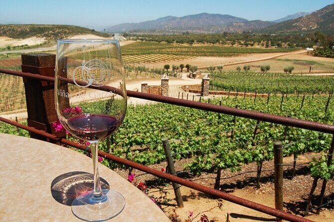 Ensenada, La Bufadora and Guadalupe Valley Private Guided Tour - Why This Tour Stands Out