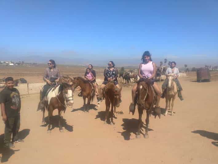 Ensenada: La Bufadora and Playa Hermosa Horseback Riding. - Good To Know