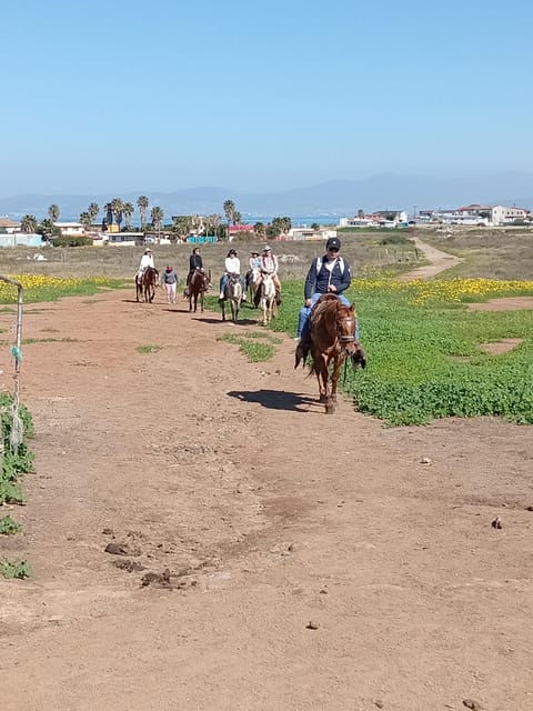 Ensenada: La Bufadora and Playa Hermosa Horseback Riding. - Inclusions