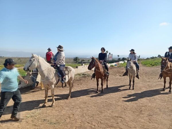 Ensenada: La Bufadora and Playa Hermosa Horseback Riding. - Exploring La Bufadora