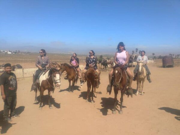 Ensenada: La Bufadora and Playa Hermosa Horseback Riding. - Coastal Horseback Ride