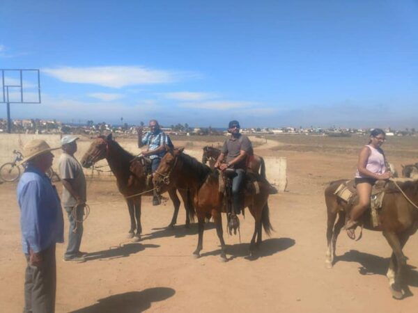 Ensenada: La Bufadora and Playa Hermosa Horseback Riding. - Tasting Tequila and Mezcal