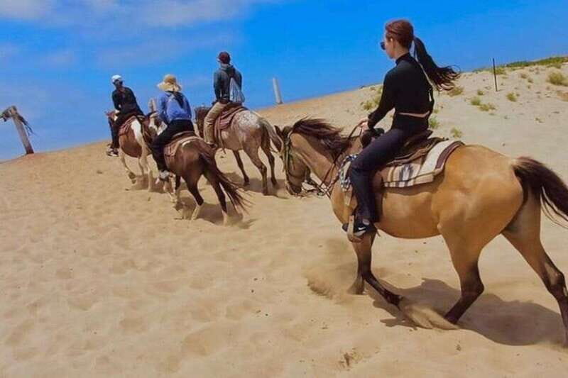 Ensenada: La Bufadora & Beach Horseback Riding Adventure - What to Expect on the Day