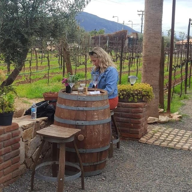 Ensenada: Ojos Negros Valley Cheese and Wine Tasting Tour - Good To Know
