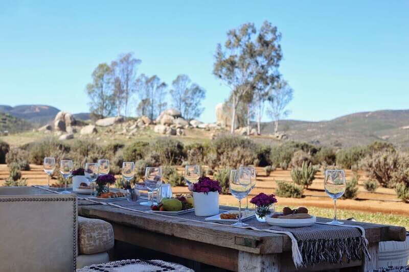 Ensenada: Picnic in Lavender Fields at Aires de Lavanda - FAQ