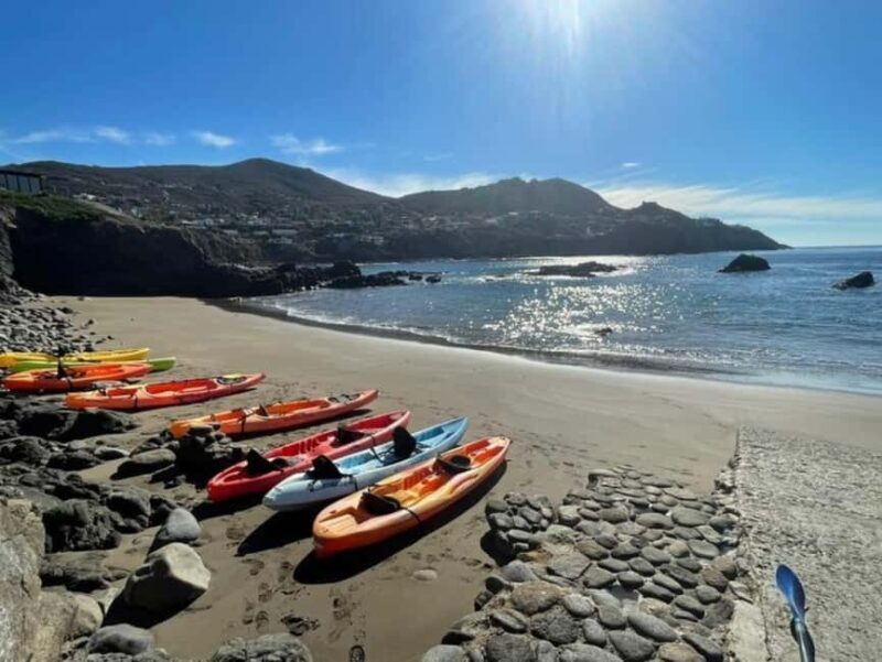 Ensenada: Private Kayak Tour to La Bufadora W/Transfer - Good To Know
