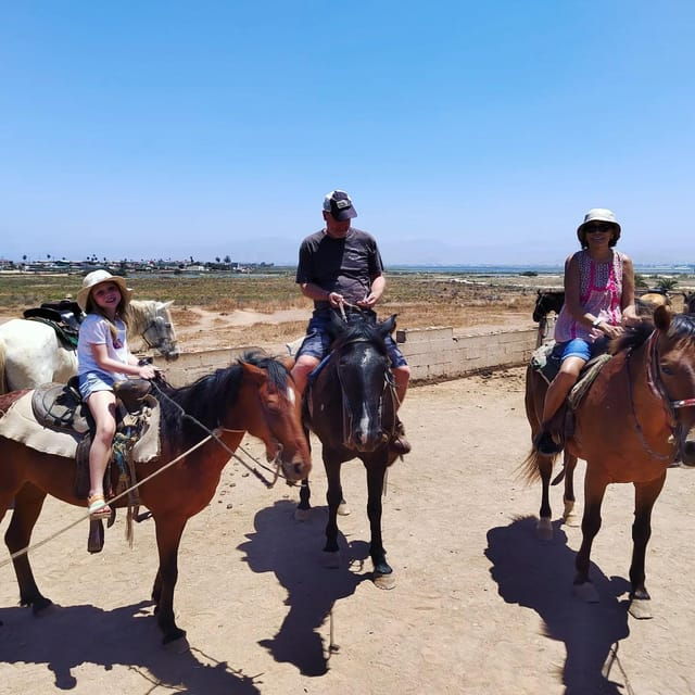 Ensenada: Punta Banda Horseback Riding Tour - Transportation and Logistics