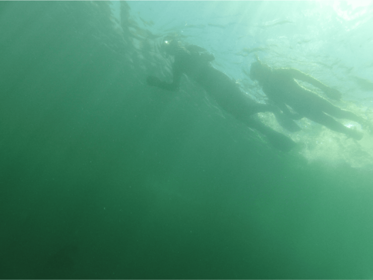 Ensenada: SCUBA Diving Introduction - Good To Know