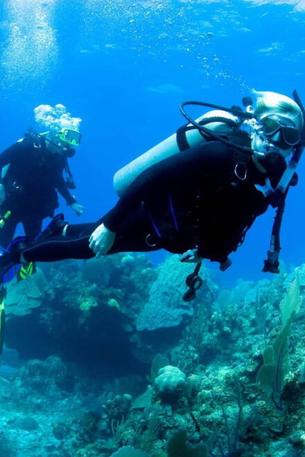 Ensenada: SCUBA Diving Introduction - Health Considerations
