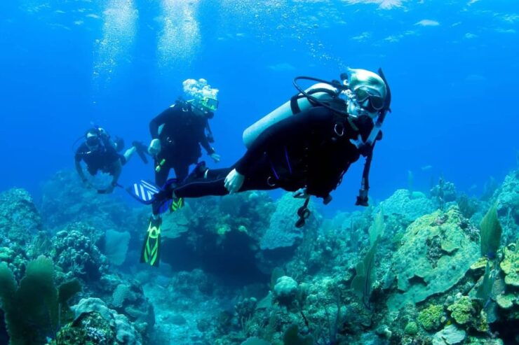 Ensenada: SCUBA Diving Introduction - Good To Know