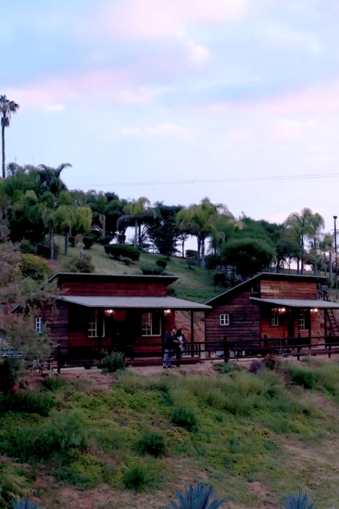 Ensenada: Sensory Wine Tasting With Chocolate - Good To Know