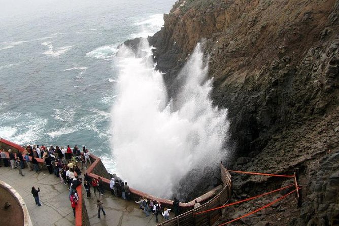 Ensenada Shore Excursion: Blowhole and La Bufadora Tour With Horseback Riding - Cancellation Policy