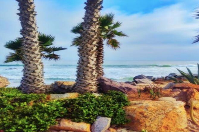 Ensenada Shore Excursion: City Tour & La Bufadora - Frequently Asked Questions (FAQs)