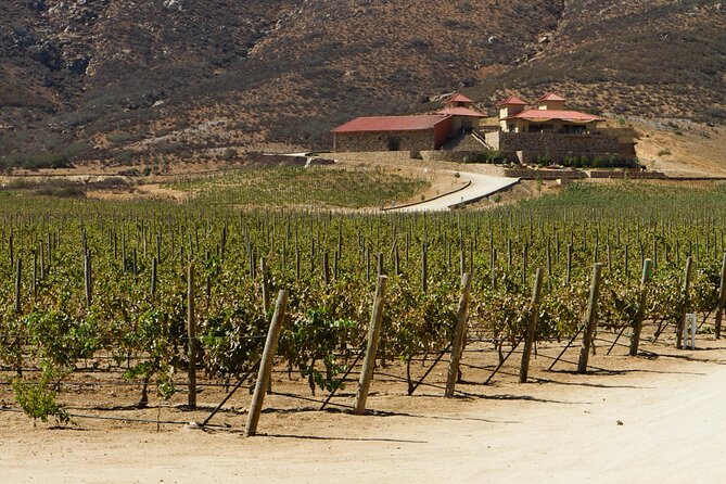 Ensenada Shore Excursion: Entre Santos and El Cielo Winery Tours With Lunch - The Sum Up