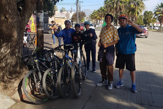 Ensenada Shore Excursion Tacosn Bike Fun Ride - Tasting Authentic Ensenada Tacos