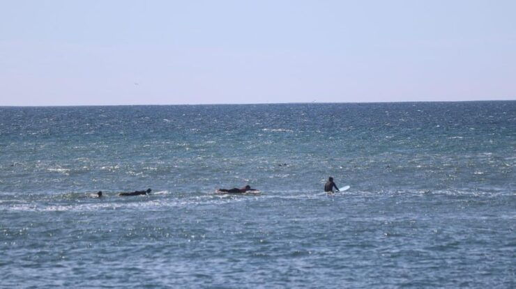Ensenada: Surf Lessons at Playa Hermosa - Good To Know