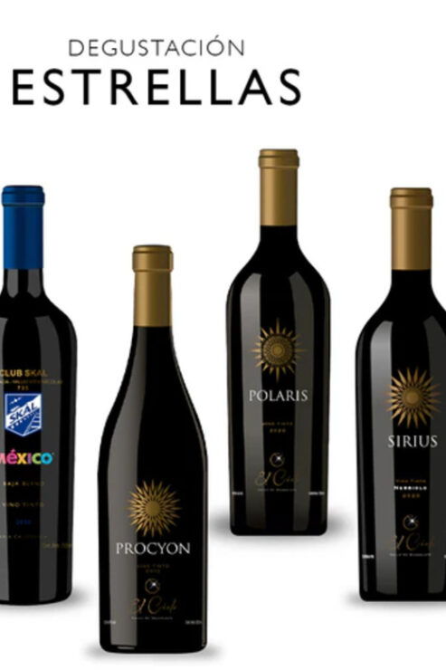 Ensenada: Wine and Chocolate Tasting Tour in Cava - Good To Know
