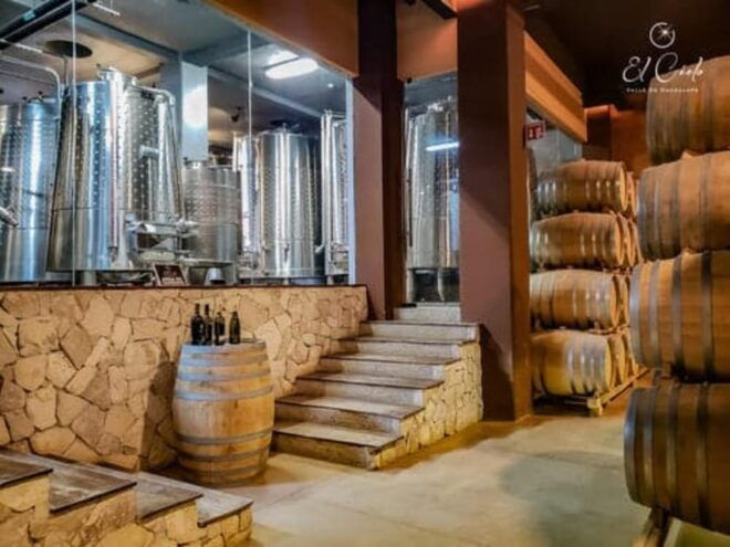 Ensenada: Wine and Chocolate Tasting Tour in Cava - Tasting Experience Options