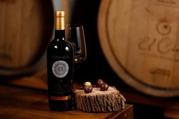 Ensenada: Wine and Chocolate Tasting Tour in Cava - Ambiance in the Wine Club Lounge