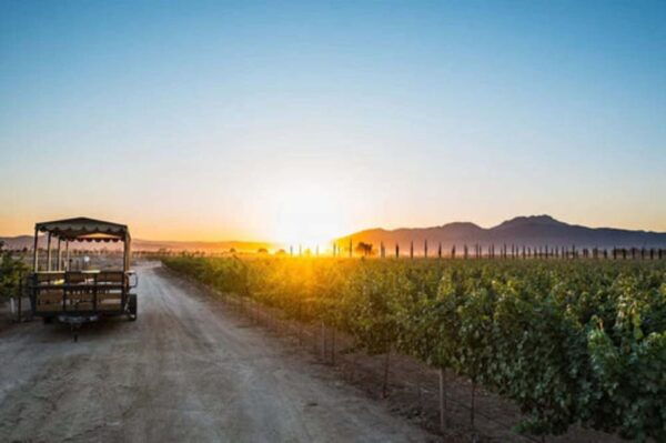 Ensenada: Wine and Chocolate Tasting Tour in Cava - Frequently Asked Questions