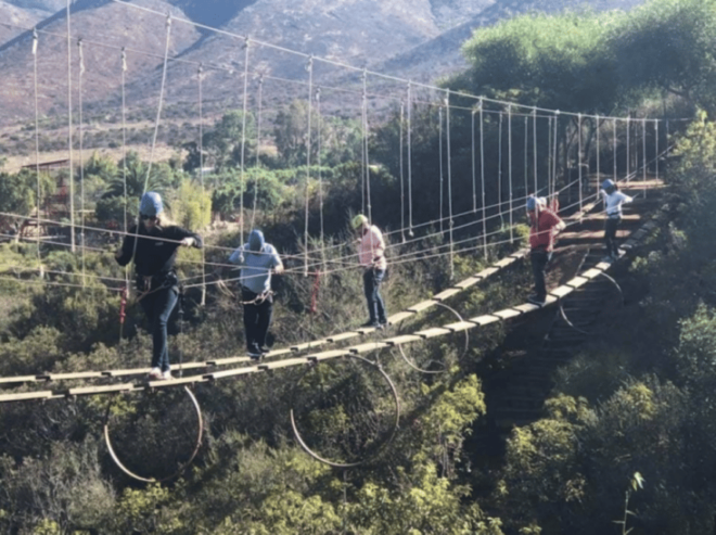 Ensenada: Zipline and Hanging Bridges at Las Cañadas - Guided Experience and Assistance