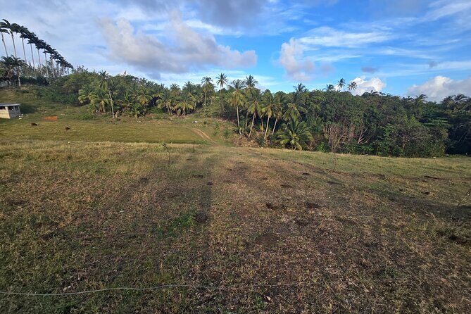 Enslaved Spaces of Barbados - Introduction