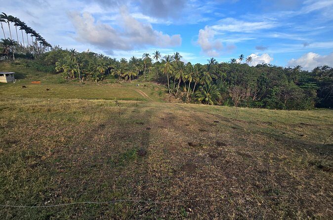 Enslaved Spaces of Barbados - FAQ