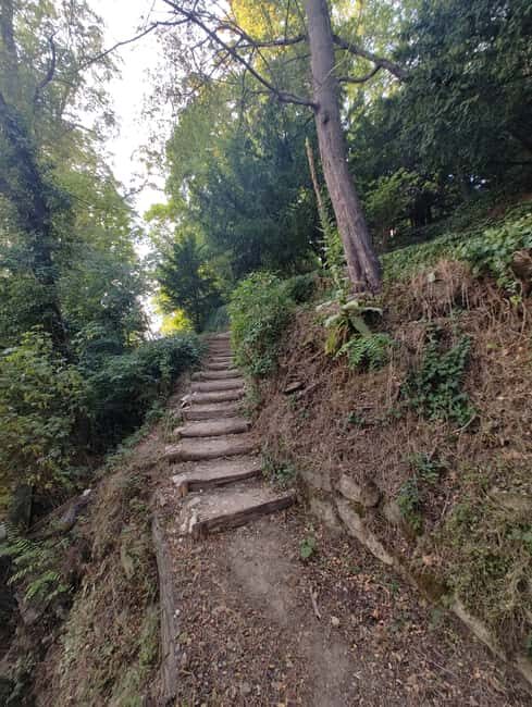 Enter the painting, touch the roots and go back in time ! - Good To Know