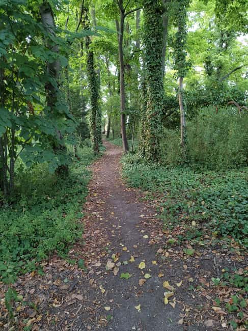 Enter the painting, touch the roots and go back in time ! - The Experience in Detail