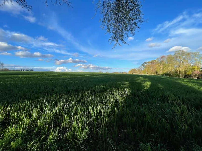 Enter the painting, touch the roots and go back in time ! - Frequently Asked Questions