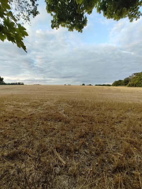 Enter the painting, touch the roots and go back in time ! - Final Summary