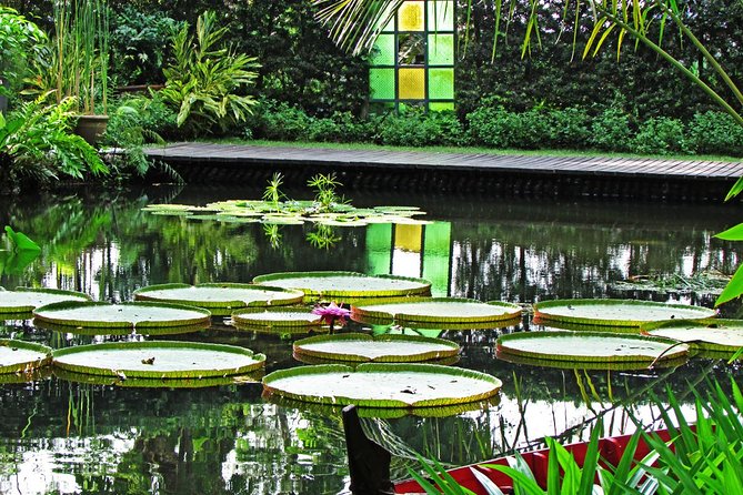 Entopia Butterfly Farm & Tropical Spice Garden Tour - Customer Reviews