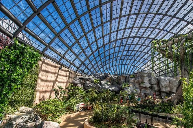 Entopia Butterfly Farm & Tropical Spice Garden Tour - Accessibility Notes