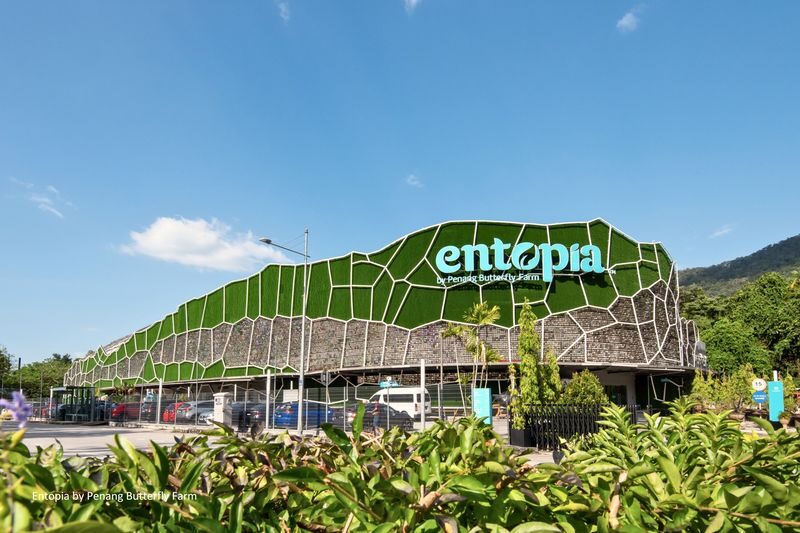 Entopia by Penang Butterfly Farm Ticket - Start in Natureland, where butterflies set the pace