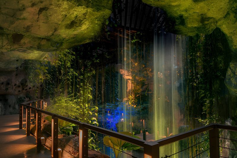 Entopia by Penang Butterfly Farm Ticket - Take time with the garden, not just the camera