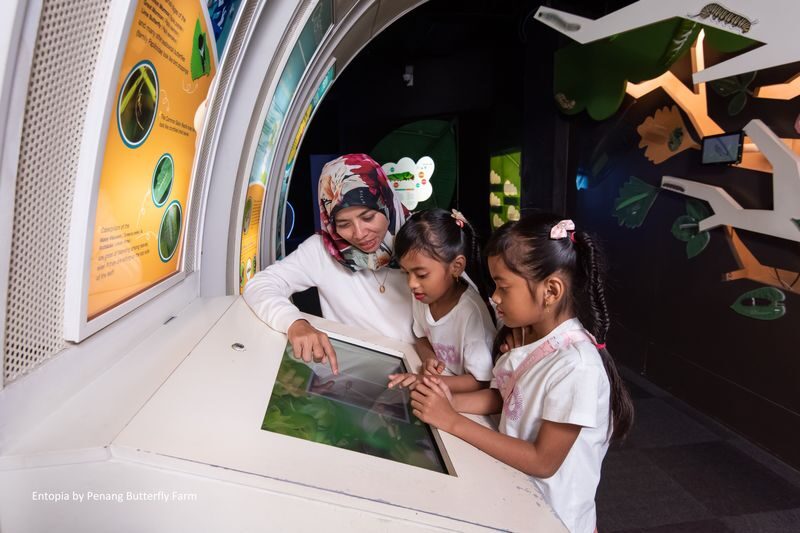 Entopia by Penang Butterfly Farm Ticket - Consider the evening ticket as a different kind of visit