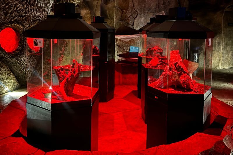 Entopia by Penang Butterfly Farm Ticket - Weigh the ticket price against what you want to see