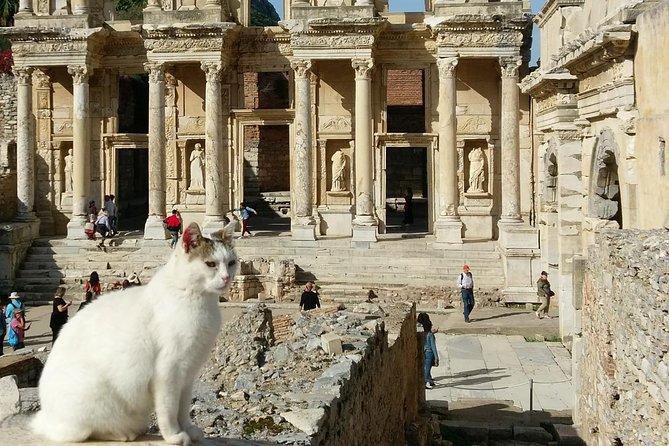 Entrance Fees Are Included/Late Riser Private Exc. Ephesus & Virgin Mary Shrine - Customer Support