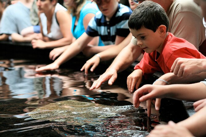 Entrance Ticket Nausicaa, the Biggest Aquarium in Europe - Assistance and Contact Information